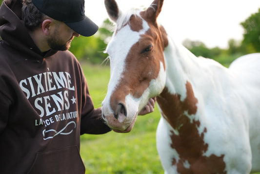 Le hoodie Ranch - Brown