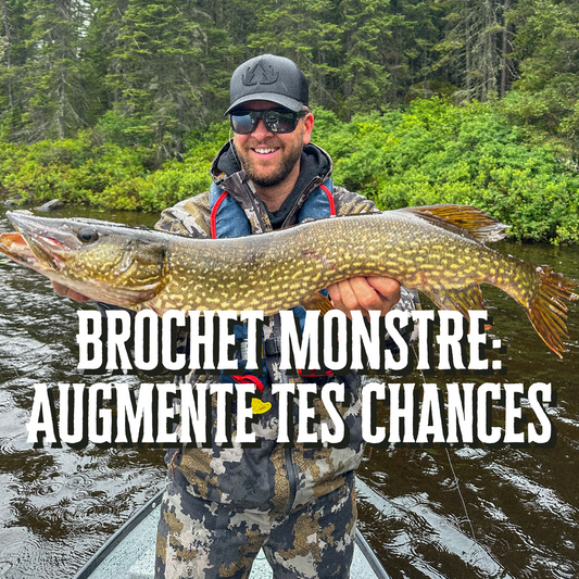 Brochet MONSTRE: Augmente tes chances