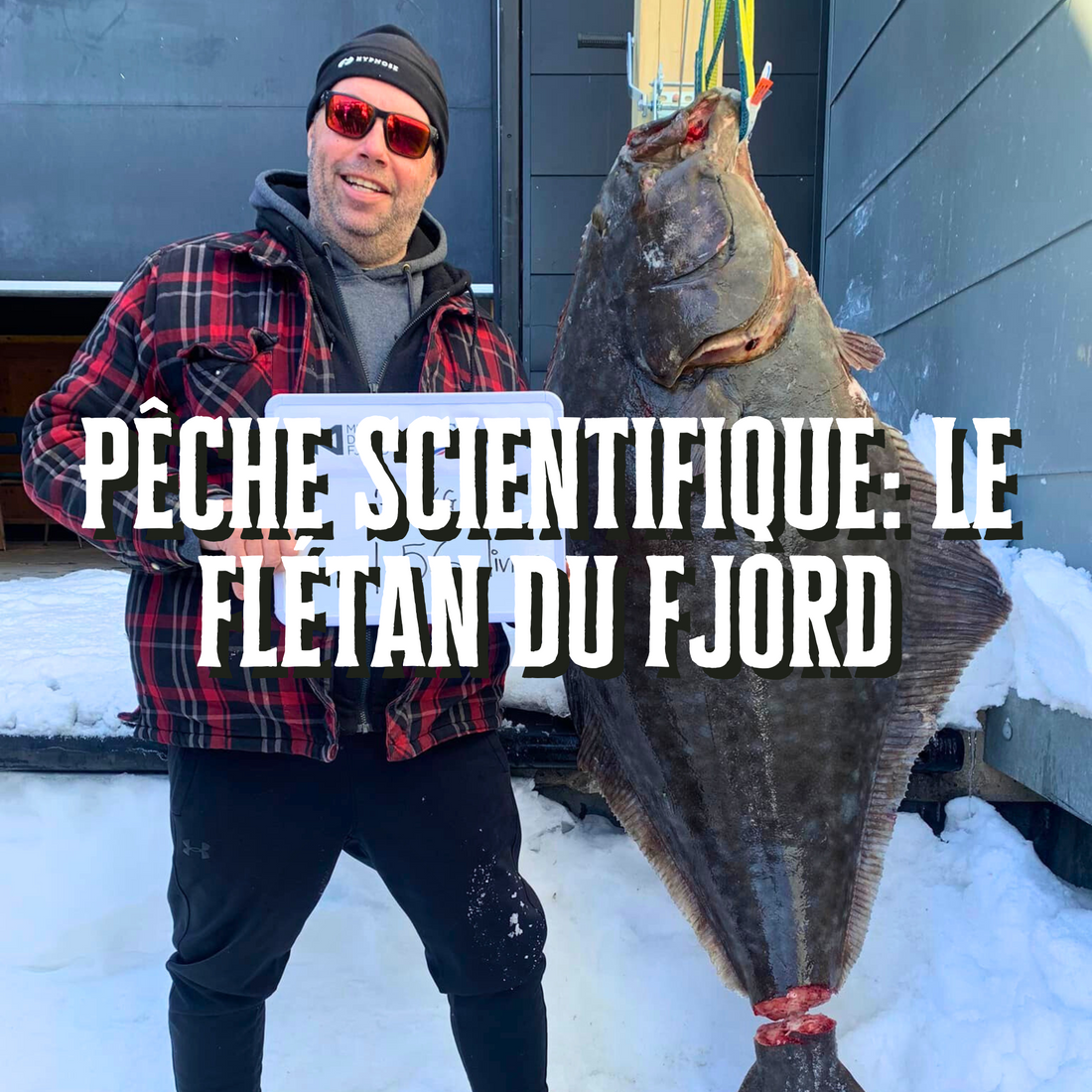 La pêche scientifique au flétan est de retour dans le fjord, et c'est une excellente nouvelle !