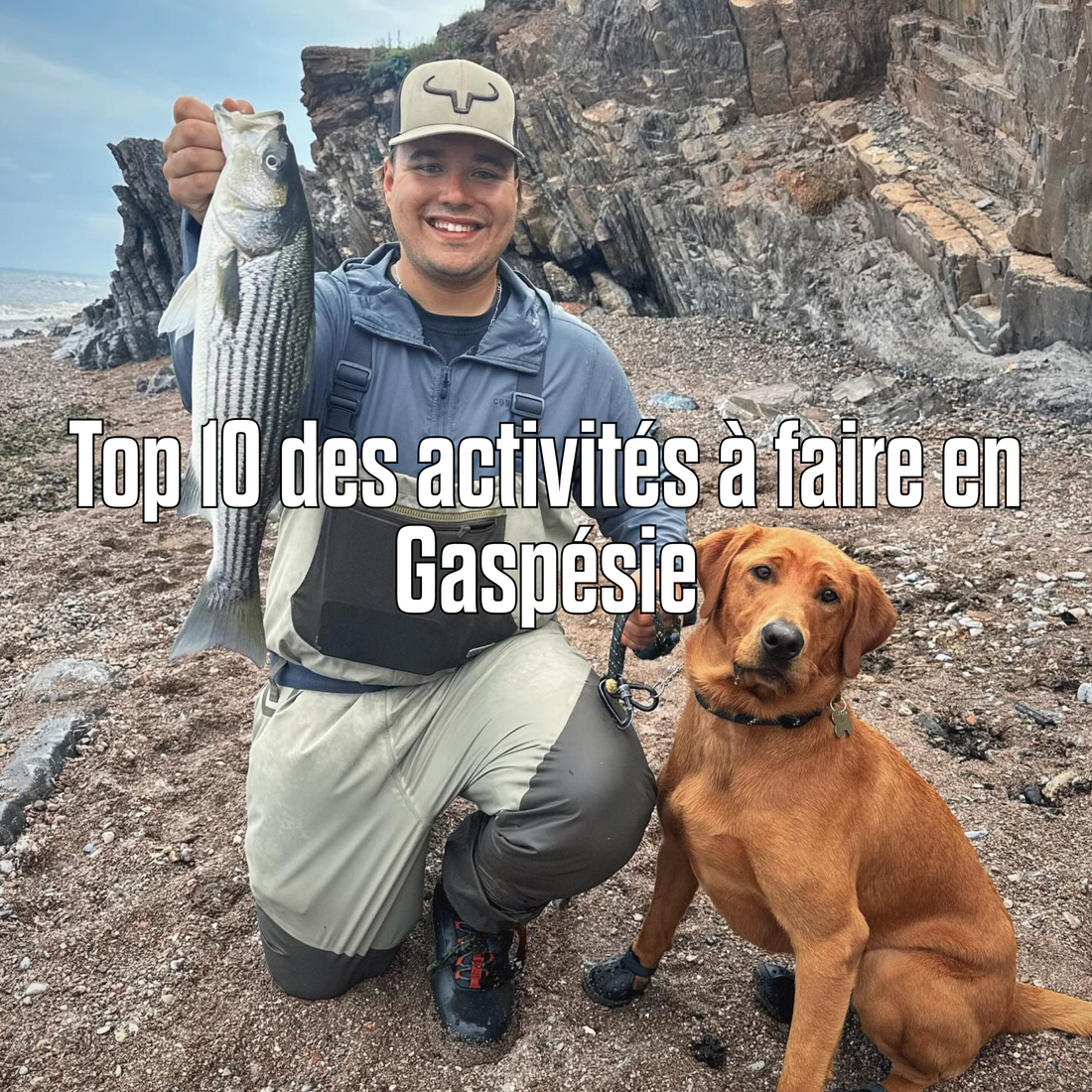Top 10 des activités à faire en Gaspésie (autre que prendre une photo du Rocher)