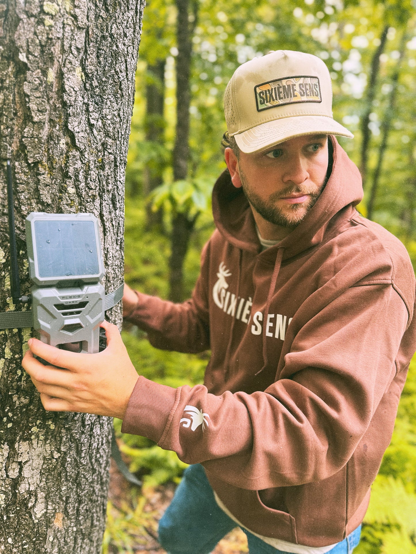 Le hoodie Tradition - Brown