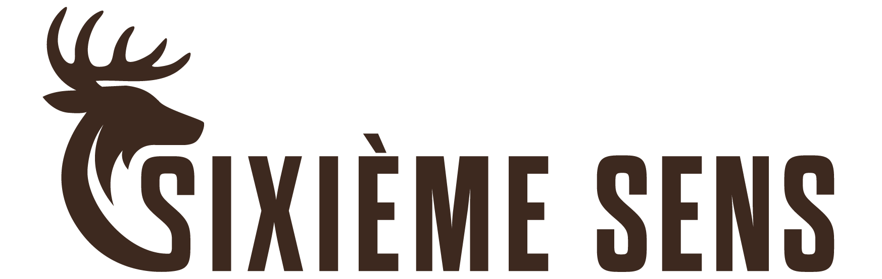 Sixième Sens
